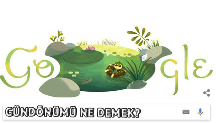 Gündönümü nedir Yaz gündönümü özellikleri neler Gündönümü nedir Yaz gündönümü özellikleri neler