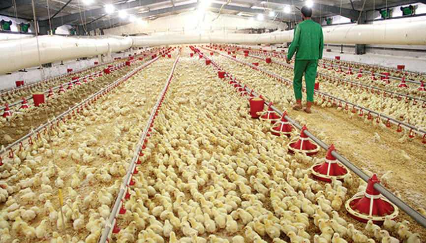 Yatırım teşviklerine düzenleme