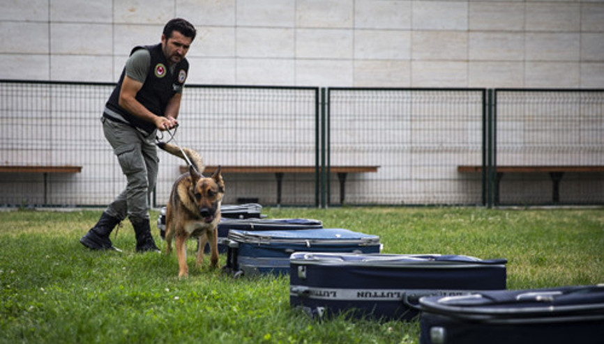 ‘Süper burunlar’ göz açtırmıyor
