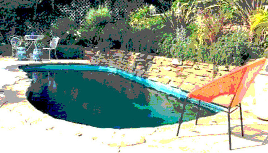 Villanın havuzunda korkunç ölüm