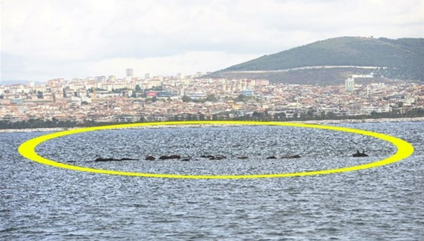 İstanbulda denizin altındaki gizem Birçok kişi varlığından bile haberdar değil...