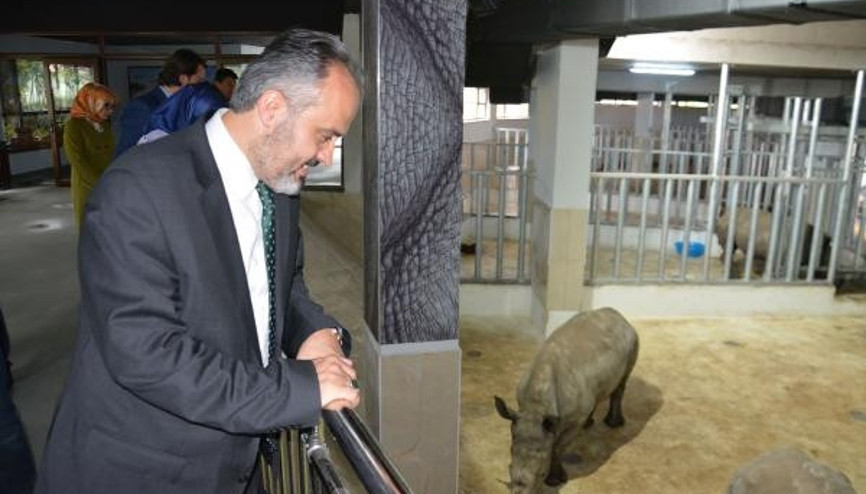Bursa Zoonun yeni konukları gergedanlar