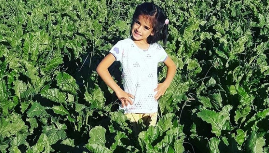 Ankara Valisi Topaca: Boğularak öldürüldüğünü tahmin ediyoruz Ankara Valisi Topaca: Boğularak öldürüldüğünü tahmin ediyoruz