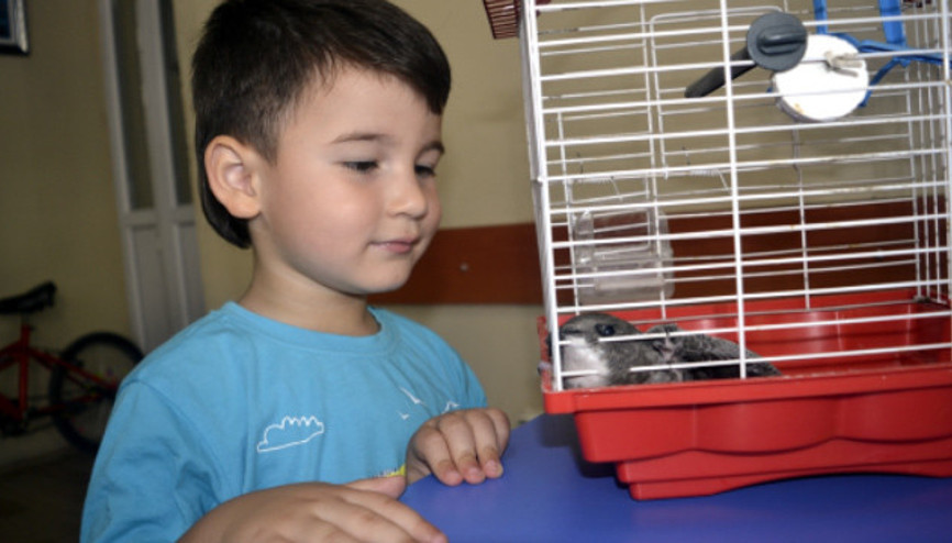 3 yaşındaki minik çocuğun merhameti...