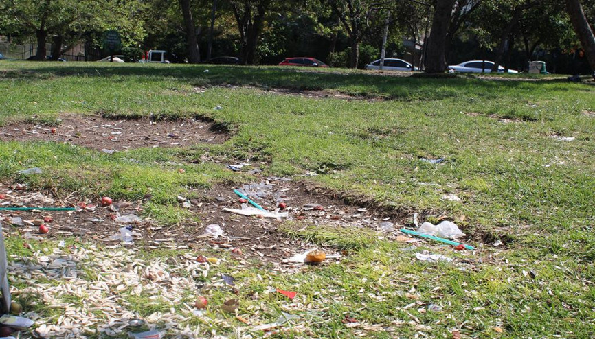 Seğmenler Parkı’nın yeni bitki örtüsü çöp