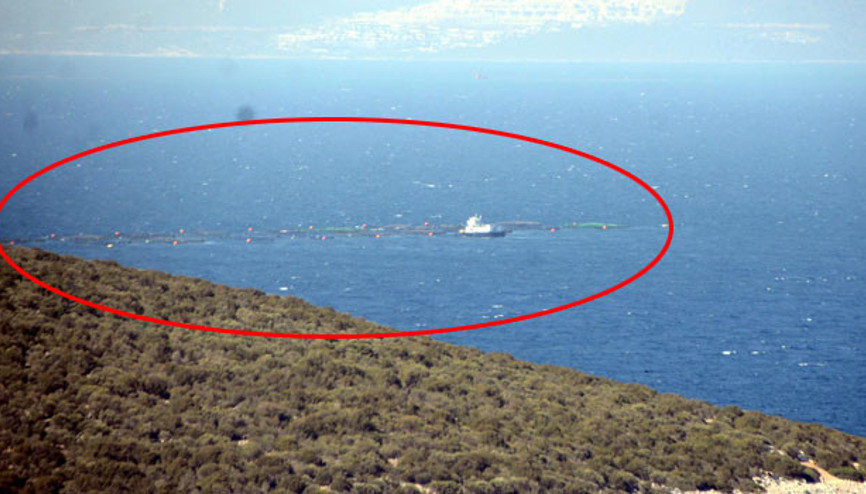 Bodrumda tedirgin eden görüntü... Bodrumda tedirgin eden görüntü...