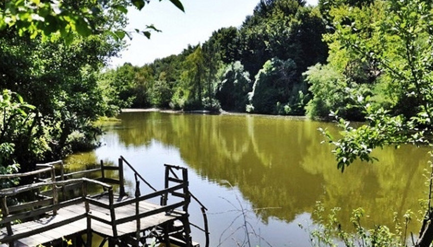 İstanbulun arka bahçesi: Polenezköy