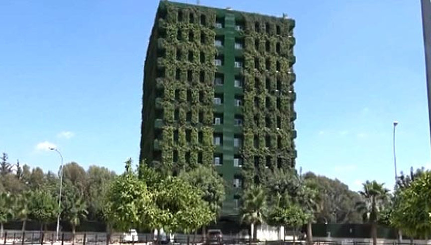 Sarmaşıklarla kaplı apartman, ilginç görüntüsüyle dikkat çekiyor