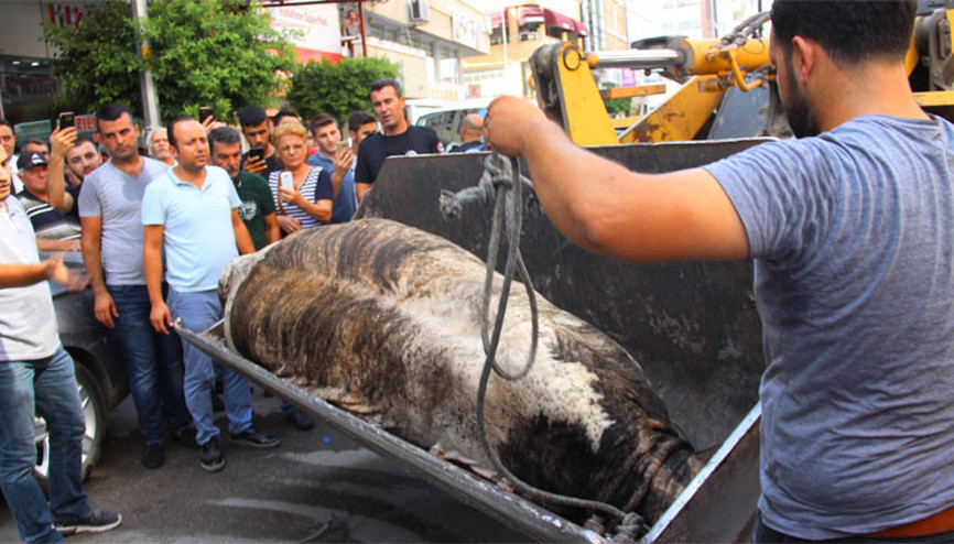 Şehri birbirine kattı Böyle yakaladılar…