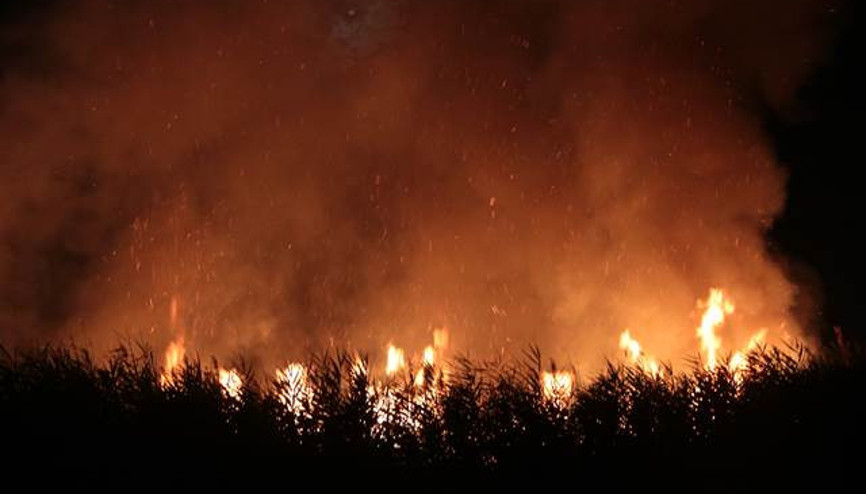 Mogan Gölü kıyısındaki sazlık alanda yangın