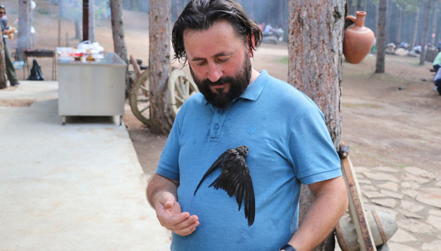 İlk bulduğunda kırlangıç sanmıştı, şimdi ayrılamıyor