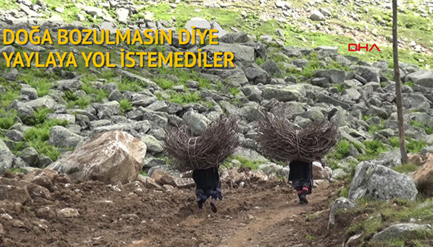 Doğa bozulmasın diye yaylaya yol istemediler Doğa bozulmasın diye yaylaya yol istemediler