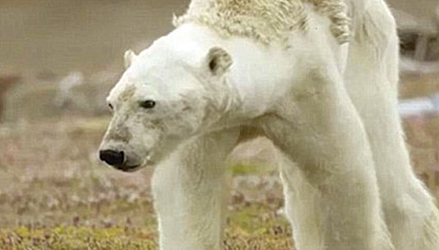 Galiba biraz abartmışız