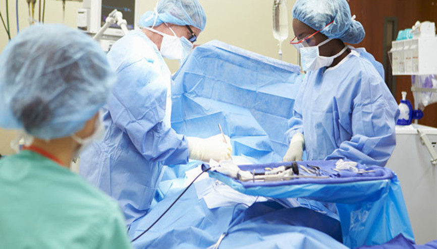 Organlar toprak altında çürüyecek bizim gibilere yardımcı olun Organlar toprak altında çürüyecek bizim gibilere yardımcı olun