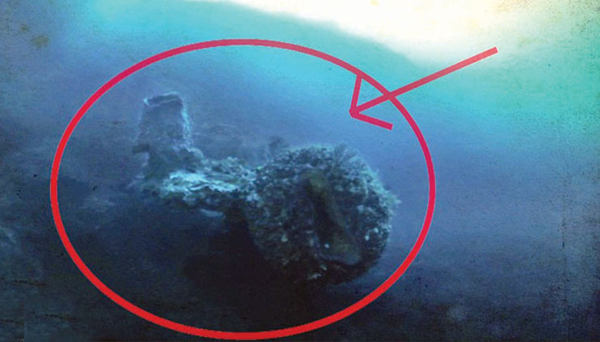 Bermuda uzaylısı