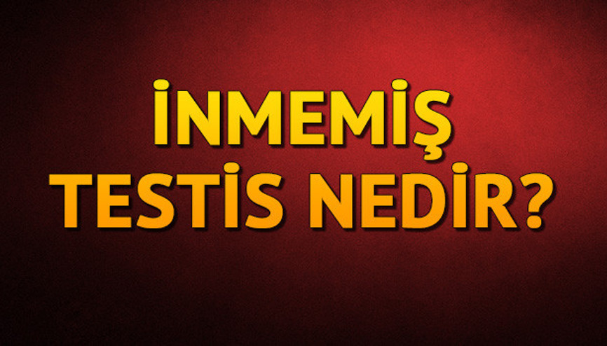 İnmemiş testis nedir İnmemiş testis nedir