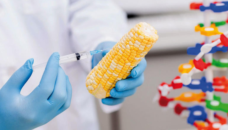 Bakanlık harekete geçti Artık zorunlu olacak