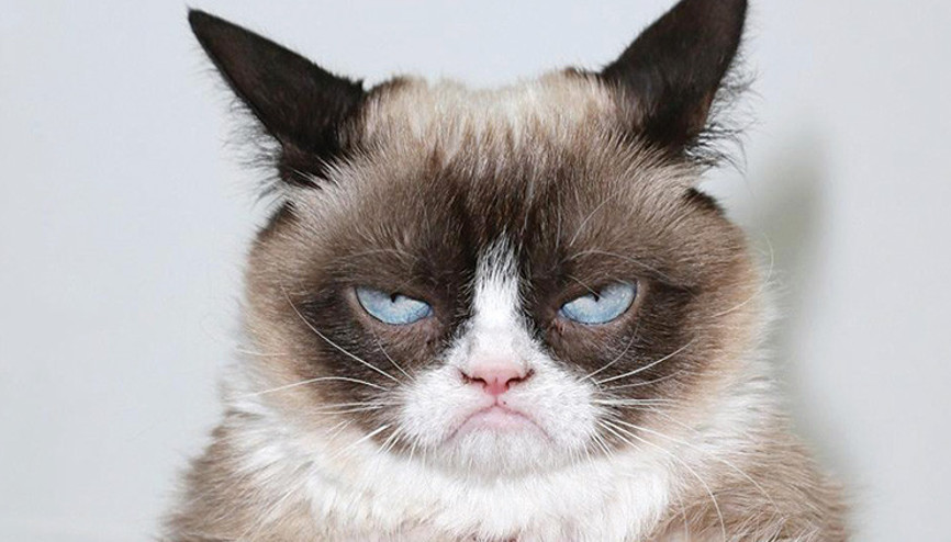 Tırmıklarıyla kazandılar