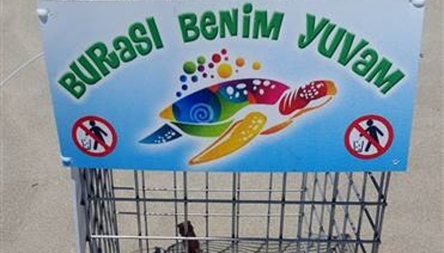 Patara Plajında isyan ettiren olay