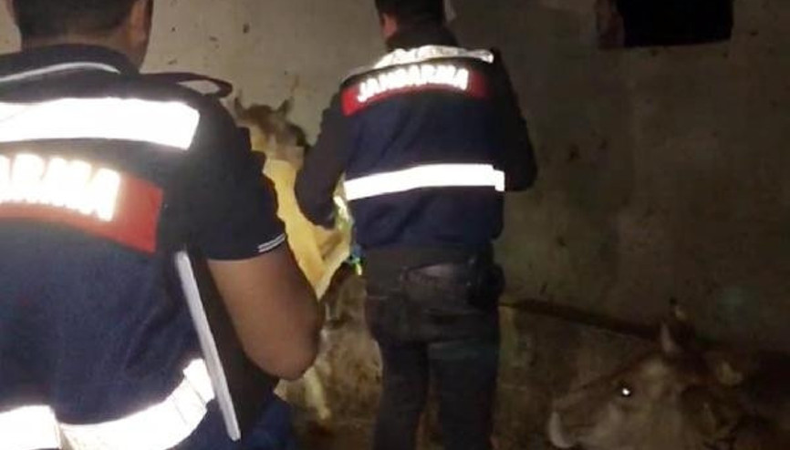 Orduda 8 ölümün şüphelisiyle ilgili soruşturma alanı genişletildi