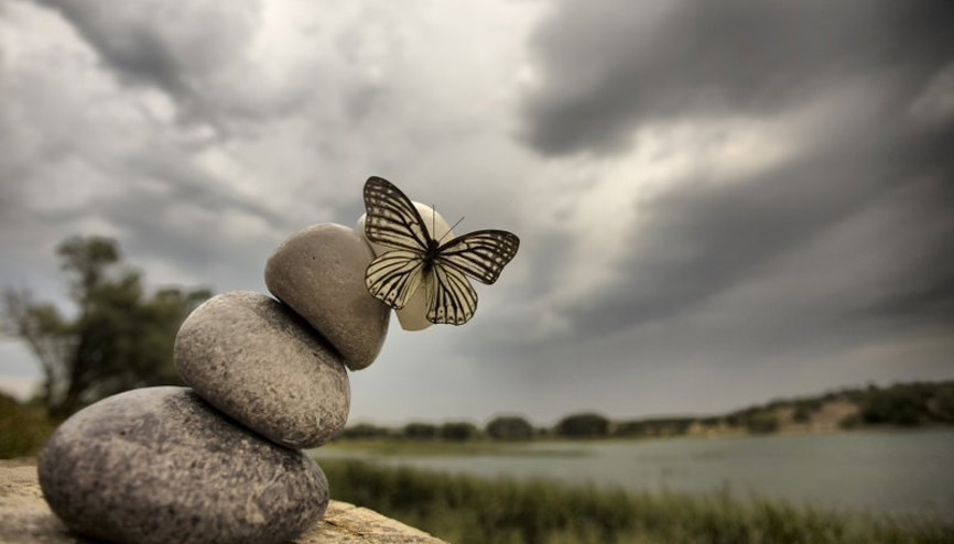 Kelebek etkisi nedir