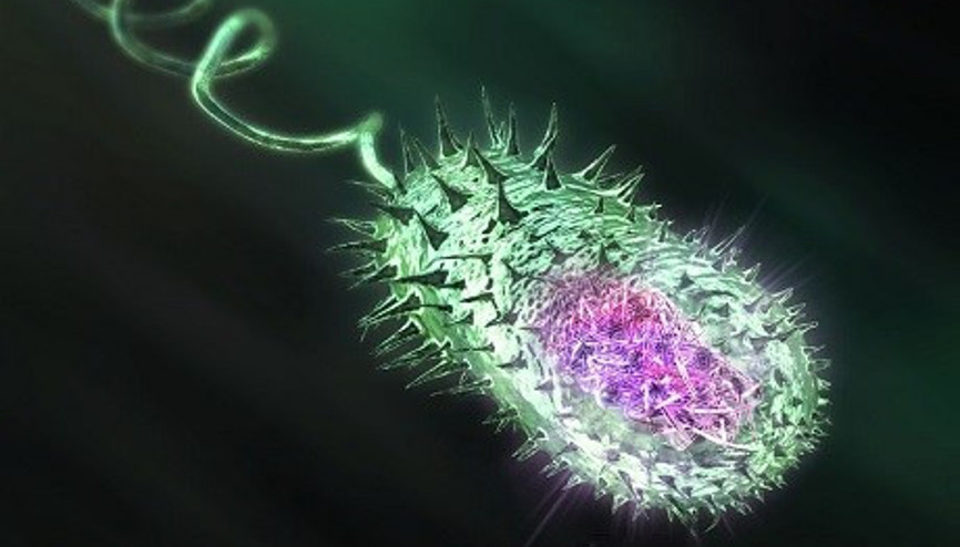 Nijerde koleradan ölenlerin sayısı artıyor