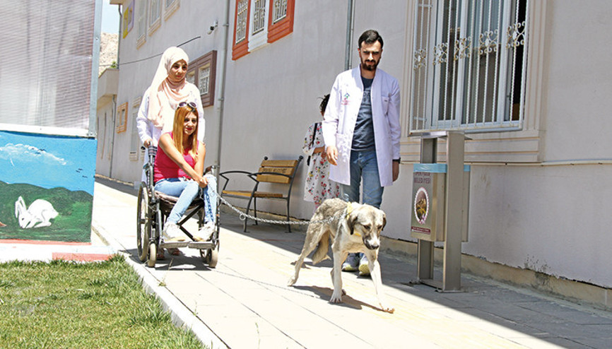 Engellilerin ‘Dost’u oldu