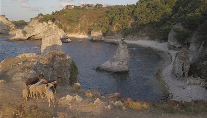 Kilimli Koyunu kirletip gittiler