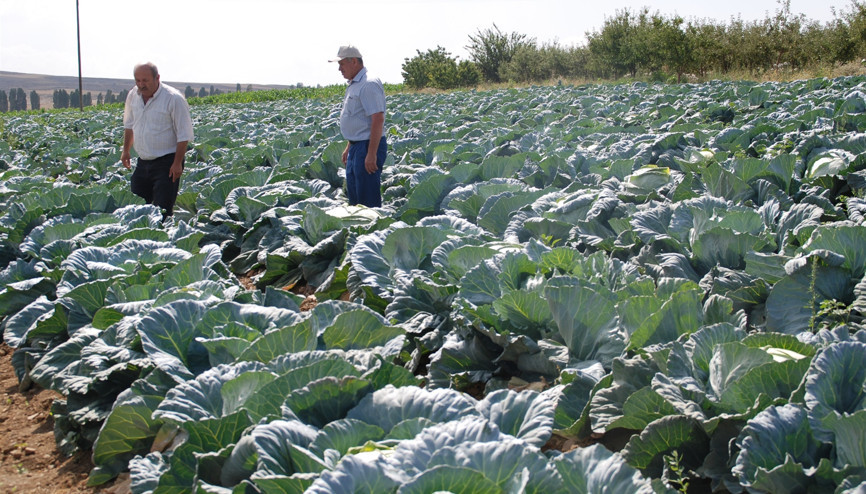 Niğdede yapılıyor 10 ülkeye ihraç ediliyor...