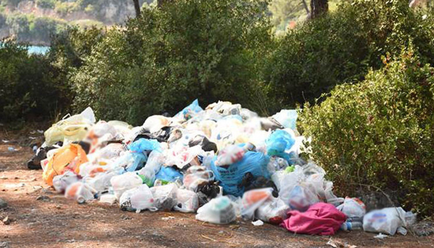 Hürriyet yazarı önerdi… Büyük destek geldi