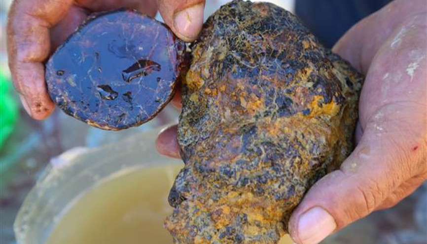 Köylülerin yıllardır yaktığı madde doğal kehribar çıktı