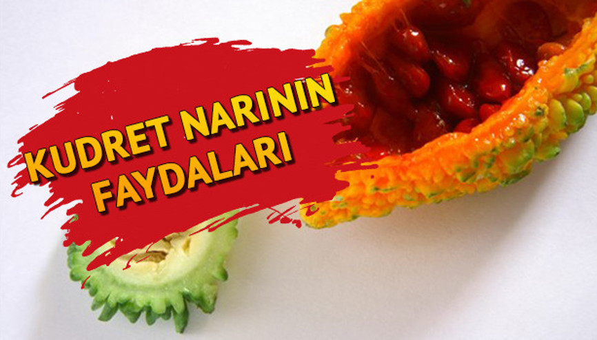 Kudret narının faydaları neler Kudret narının yararları