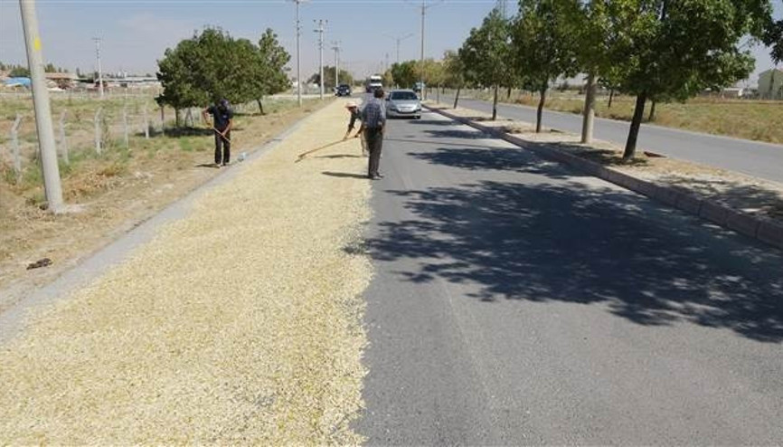 Yolun bir şeridini trafiğe kapatıp, kabak çekirdeği kurutuyorlar