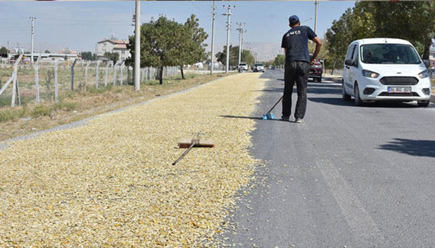 Yolun bir şeridini trafiğe kapatıp, kabak çekirdeği kurutuyorlar