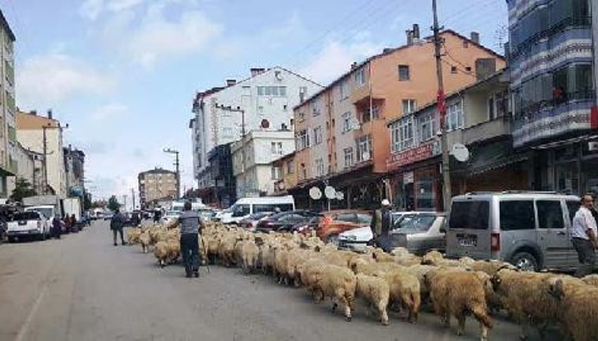 Yayladan dönüş başladı
