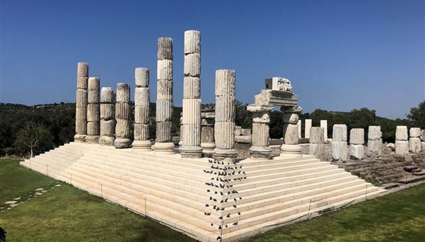 Apollon Tapınağına gelenler fareleri görünce şaşırıyor... Apollon Tapınağına gelenler fareleri görünce şaşırıyor...
