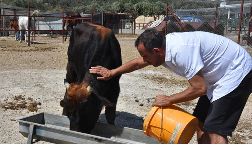 Haluk Levent, kurtardığı ’Ferdinand’ ile buluştu