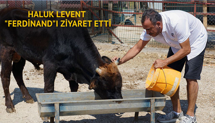 Haluk Levent Ferdinandı ziyaret etti