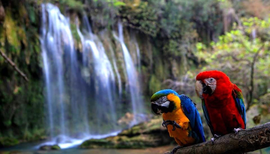 Antalyanın saklı cenneti: Kurşunlu Şelalesi