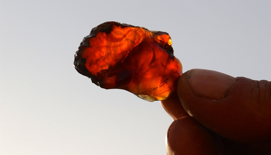 Türkiyede ilk kez tespit edildi İnceleniyor...