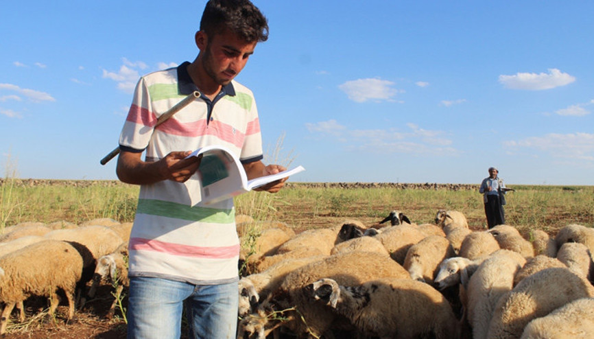 Çobanlık yaparken üniversiteye hazırlandı, diş hekimliğini kazandı
