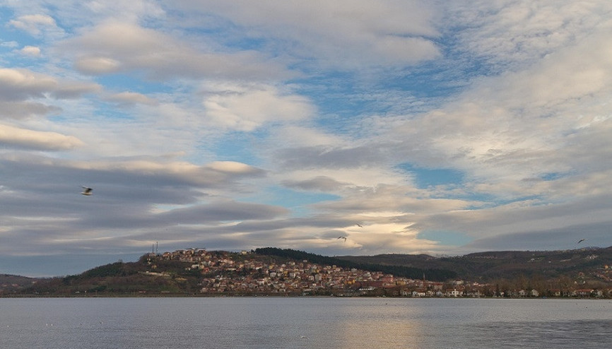 Sapanca ormanlarına yapılan katliam kimin suçu Sapanca ormanlarına yapılan katliam kimin suçu