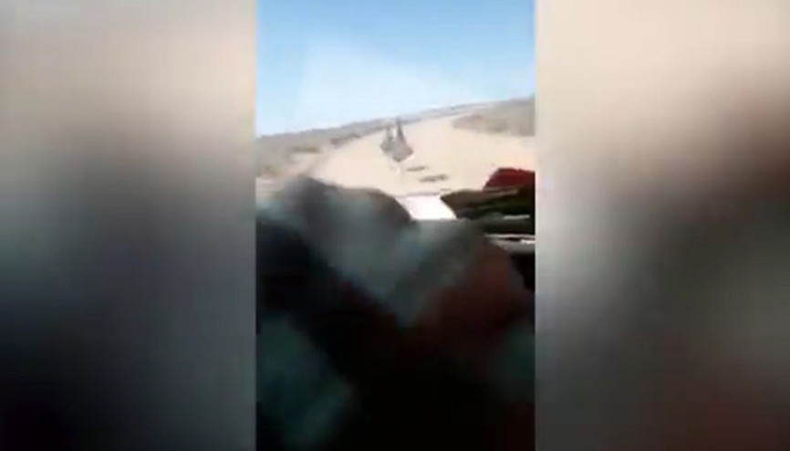 Avustralyada deve kuşlarını vahşice ezen otomobil sürücüsü aranıyor