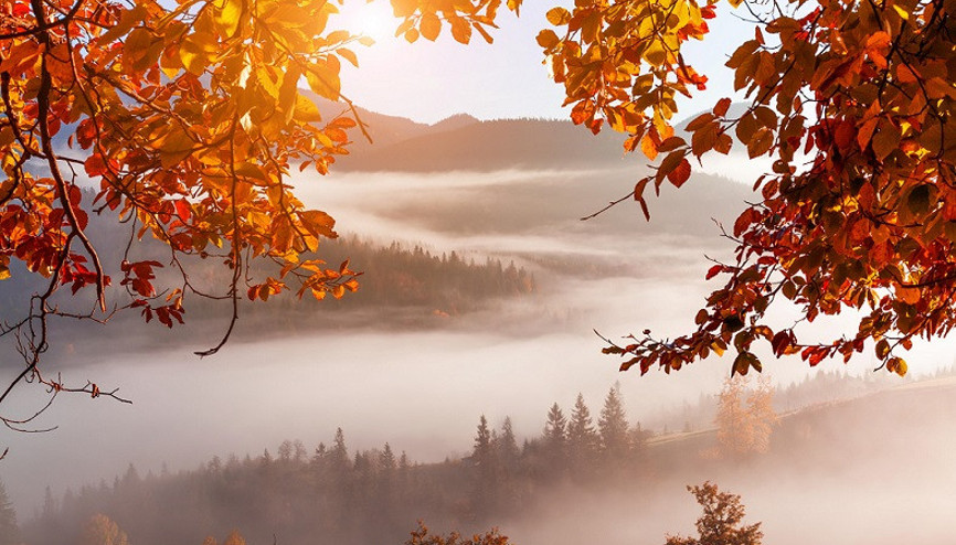 Haftanın kaçırılmayacak fırsatları