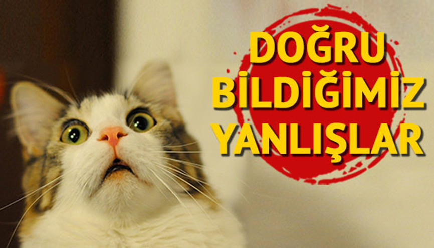 Bi’ saniye, o dediğin sahiden öyle miydi