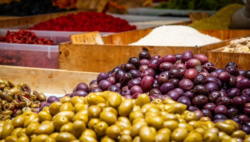 Edremitte zeytin kümesi kuruldu
