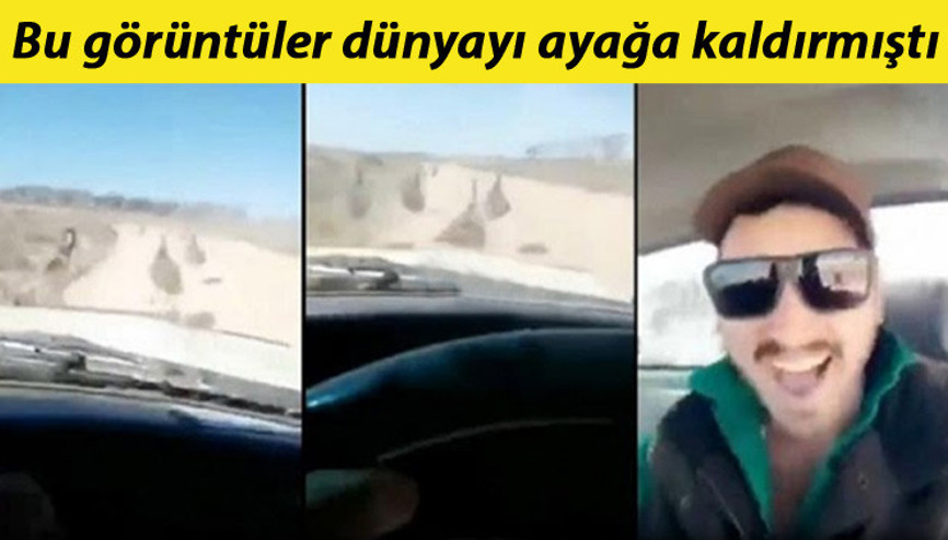 Deve kuşlarını ezmişti... Acımasız şoför yakalandı