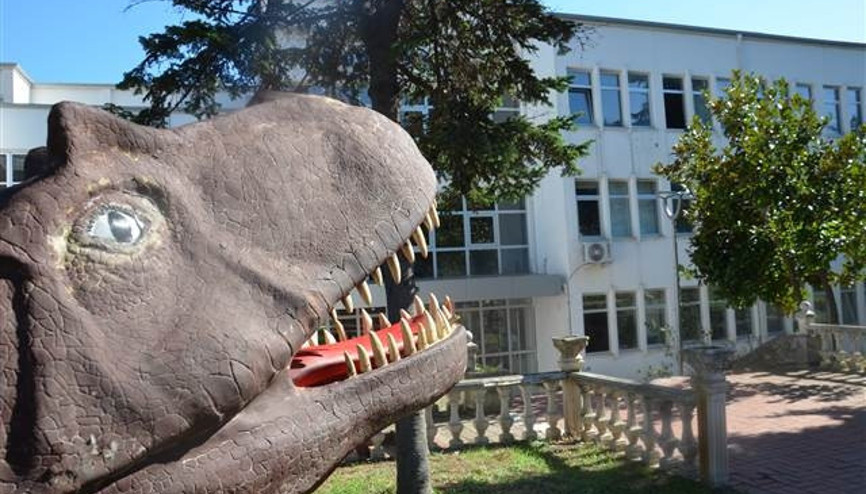 Melih Gökçekin Ankapark için aldığı dinozorlar Trabzonda