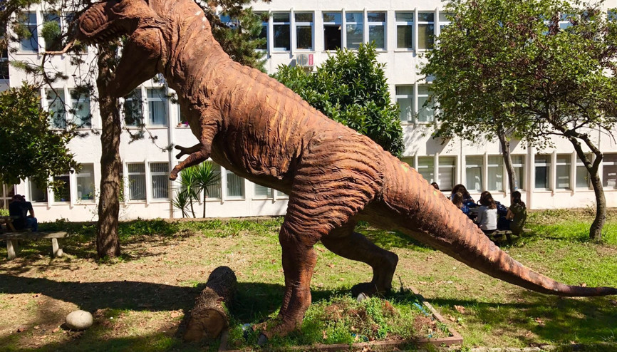 KTÜde Doğa Müzesi oluşturulacak