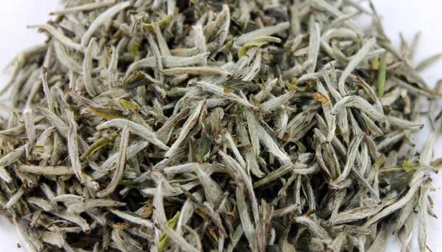 Beyaz çayın faydaları nelerdir